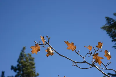 DSC_5103 (Large).JPG